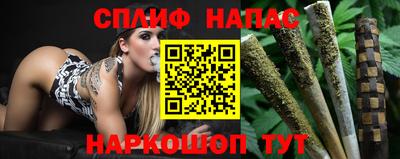 сатива Беслан