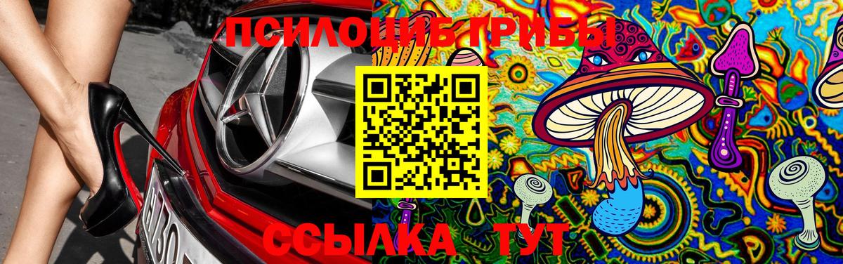 Псилоцибиновые грибы Psilocybine cubensis Ялуторовск