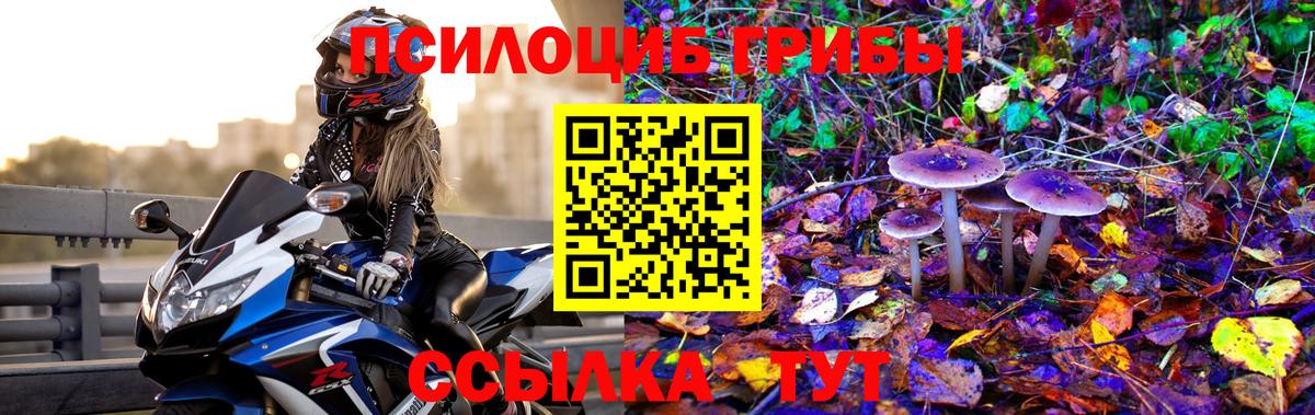 Псилоцибиновые грибы MAGIC MUSHROOMS Ялуторовск