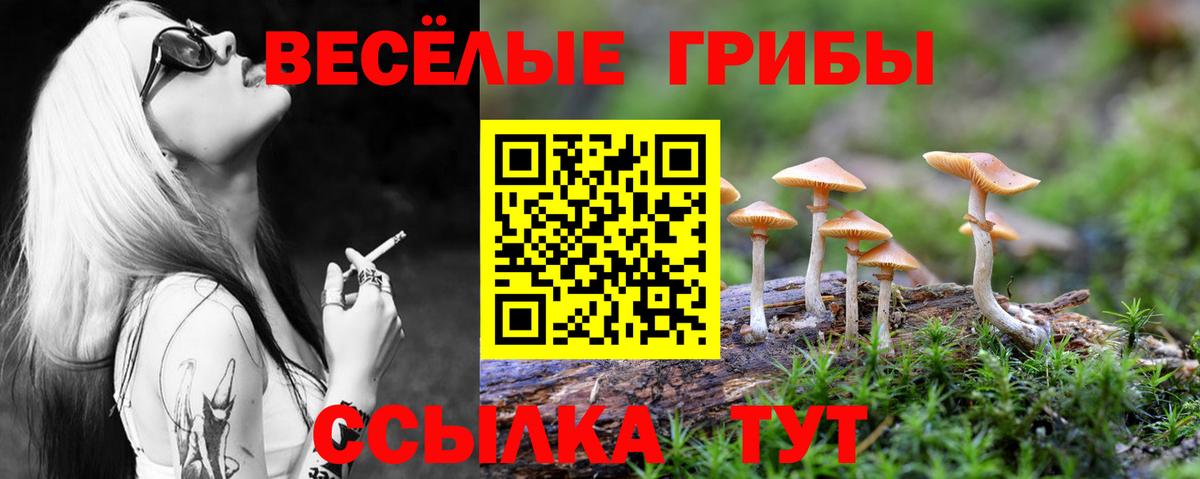 Ялуторовск  Псилоцибиновые грибы мухоморы  Вход с VPN 